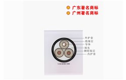 YJV22-26/35kV YJV22-26/35kV